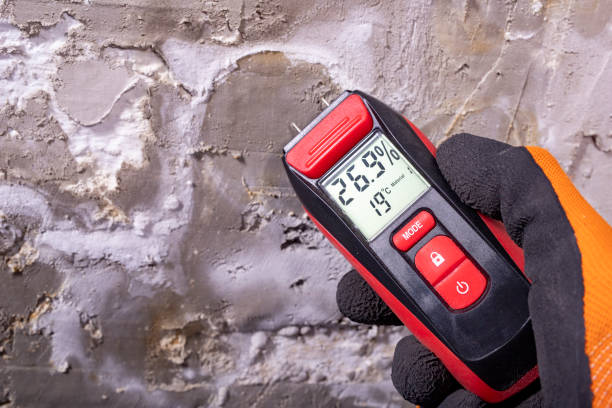 Best Mold Cleaning Services  in Lwa, CA