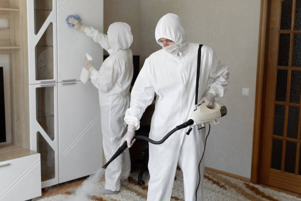 Best Certified Mold Removal  in Lwa, CA